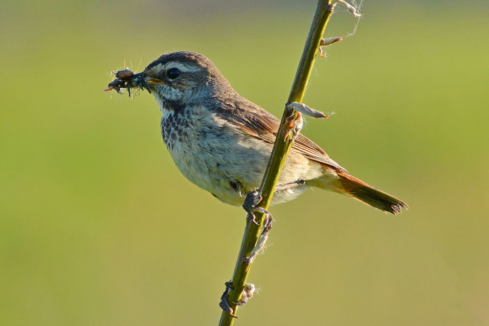 Photograph by Владислав Иопек