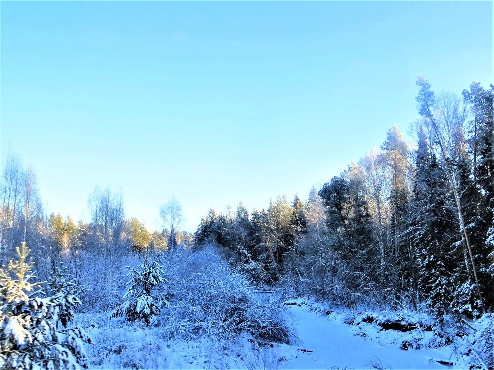 Photograph by Галина