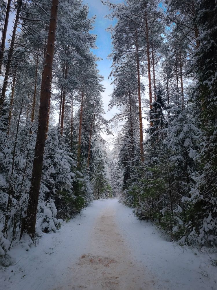 Photograph by Сергей Шубин