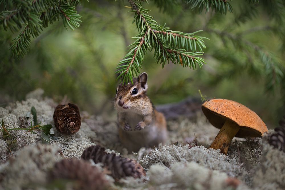 Photograph by Евгения Левина