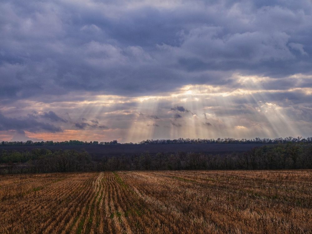 Photograph by Дмитрий Головко