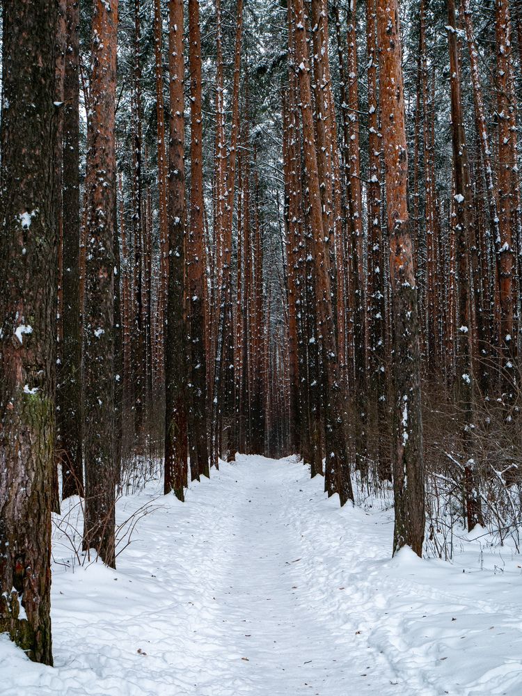 Photograph by Дмитрий Головко