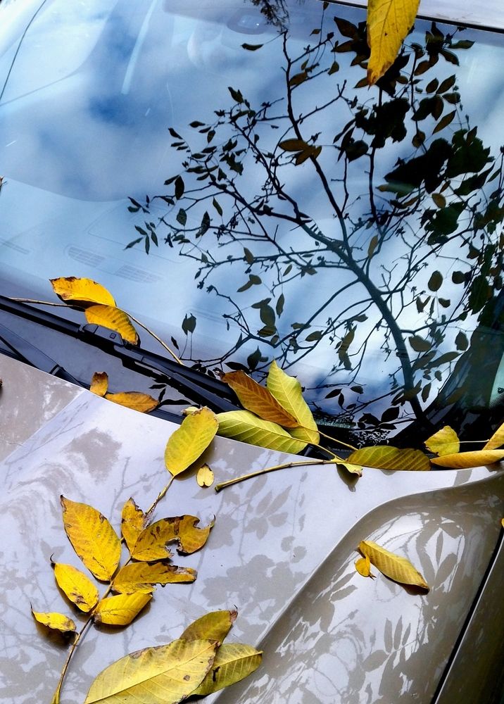 Photograph by Олеся Белова