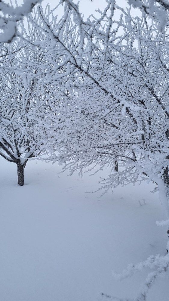 Photograph by Ирина Герлин