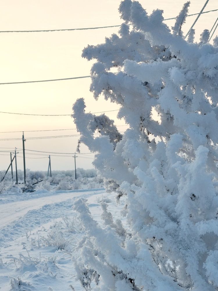 Photograph by Ирина Герлин