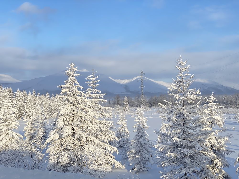 Photograph by Евгения Казакова