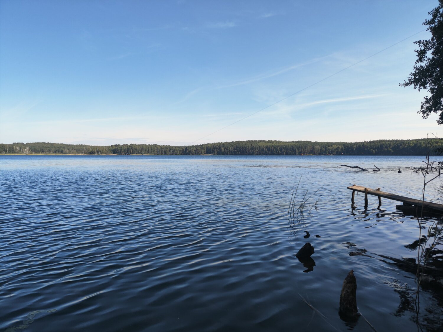 Photo #8479350