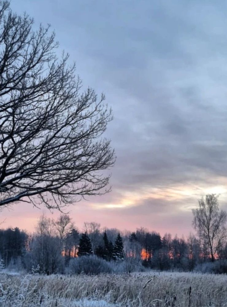 Photograph by Elena Lukashina