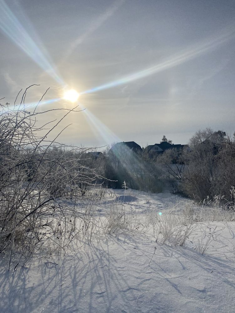 Photograph by Елена Гущина