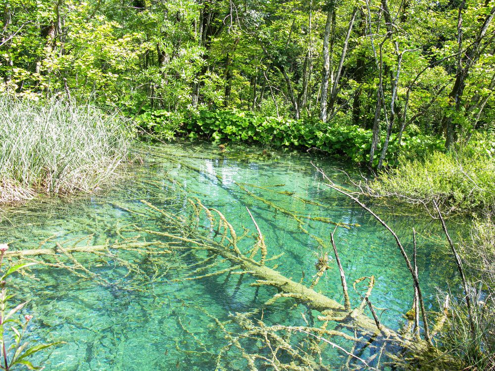 Photograph by Виталий Са