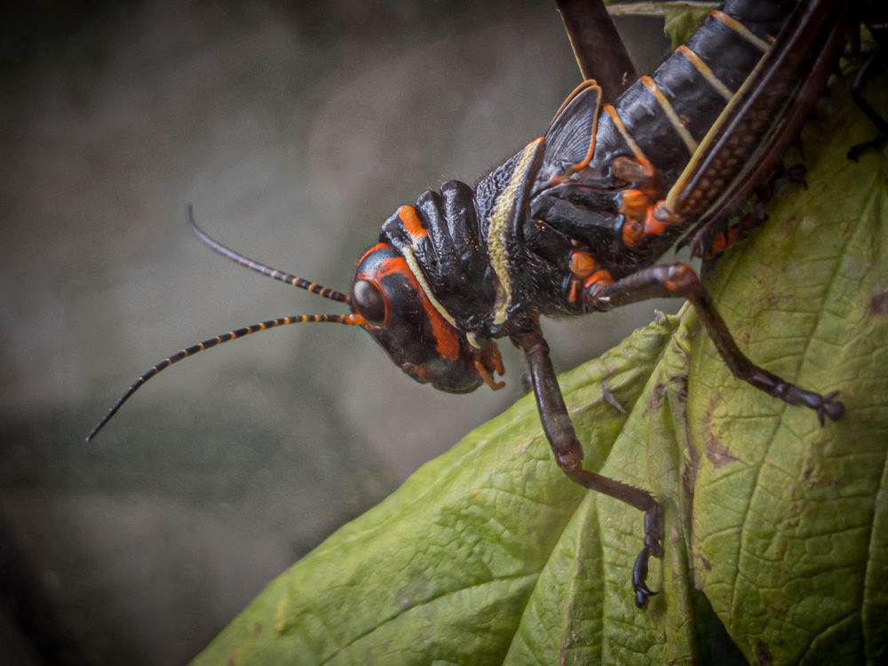 Photograph by Хавронина Марина