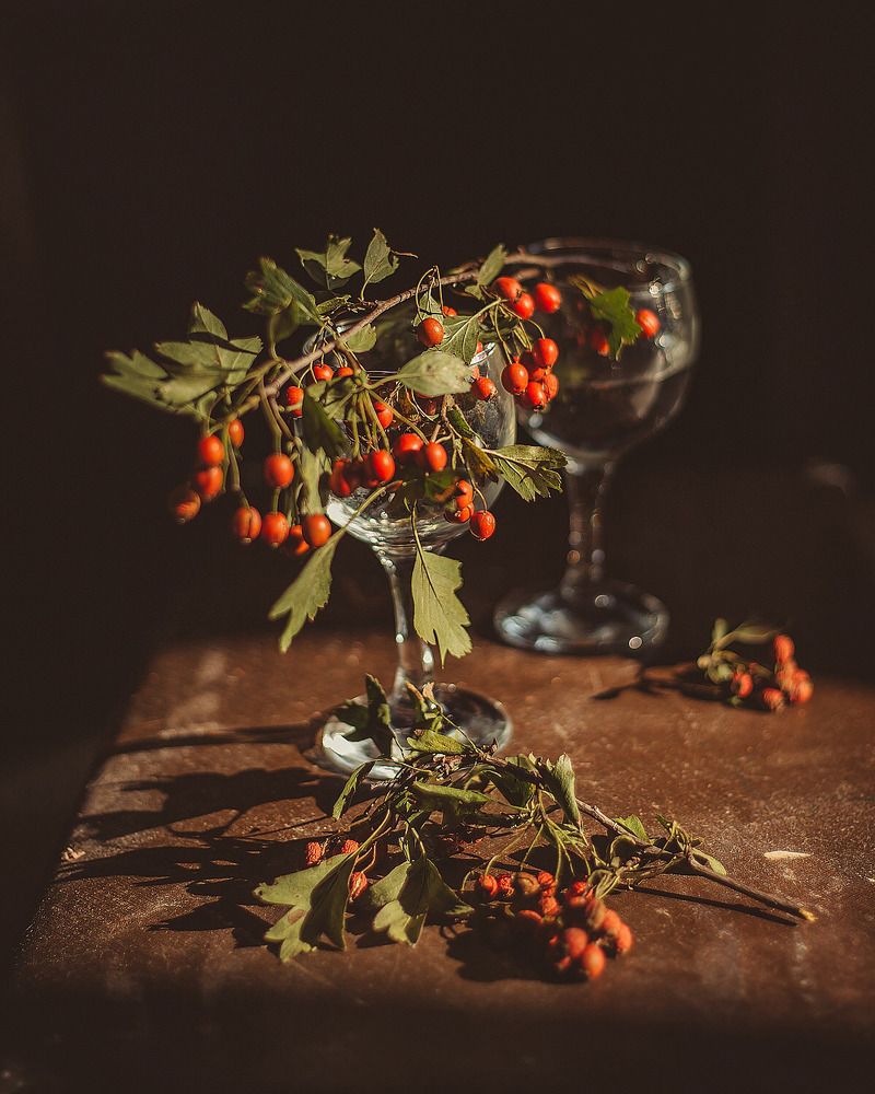 Photograph by Алена