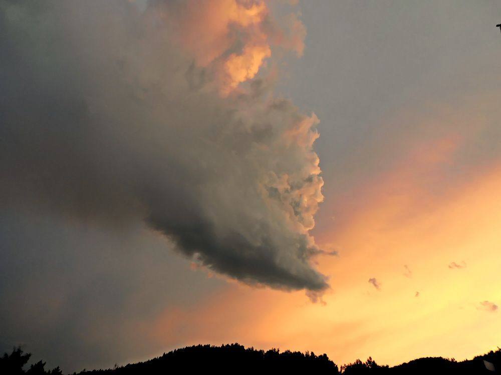 Photograph by Елена Ласун