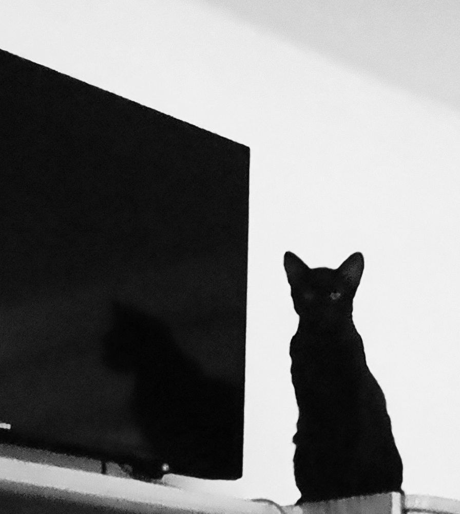 Photograph by Nikolett Mengyi