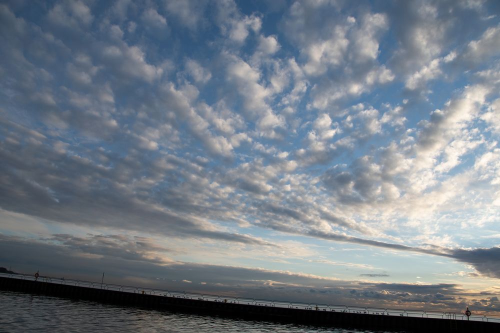 Cotton Flower Field, In the Sky