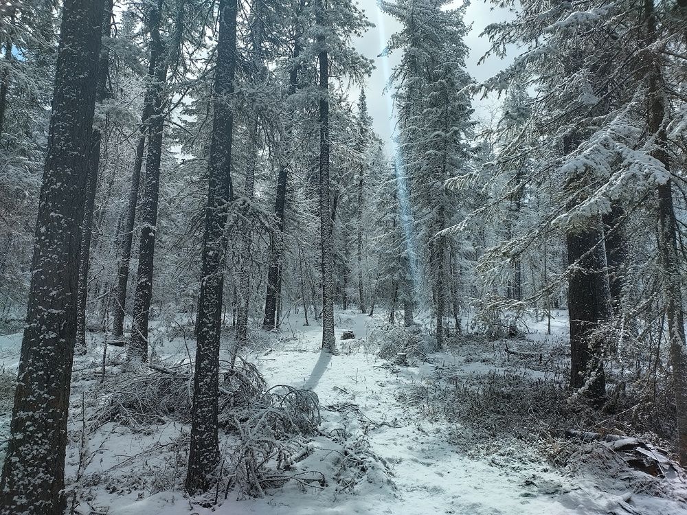 Photograph by Максим Кнурёв