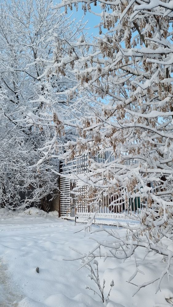 Photograph by Екатерина Николаева