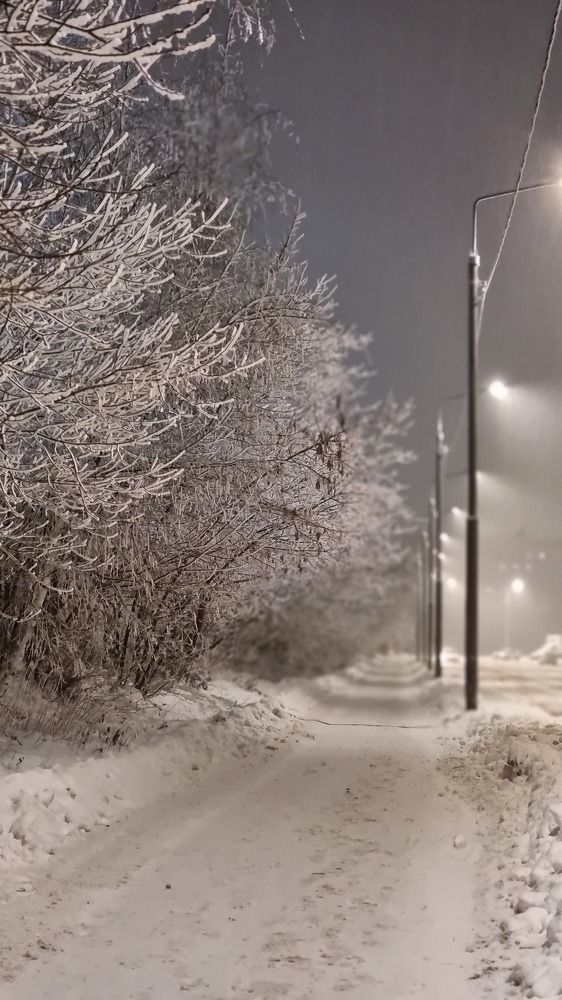 Photograph by Екатерина Николаева