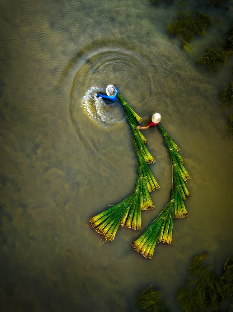 Photograph by Lê Huy Anh