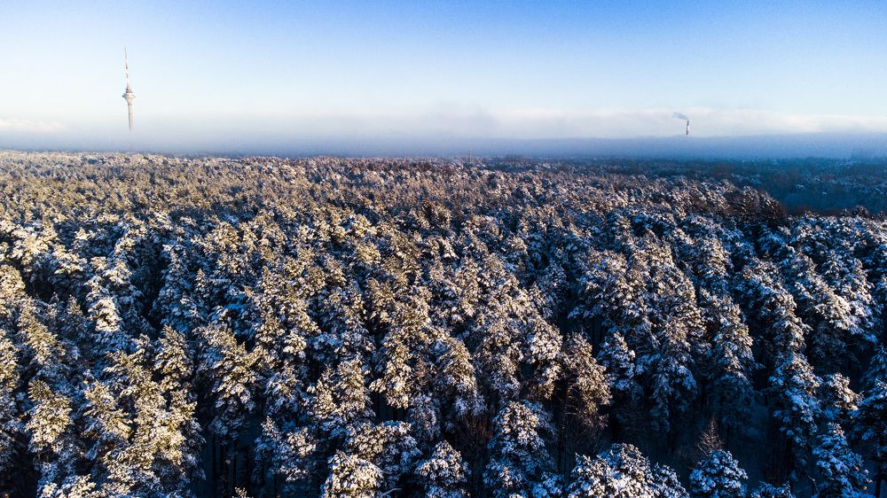 Photograph by Igor Glazistov