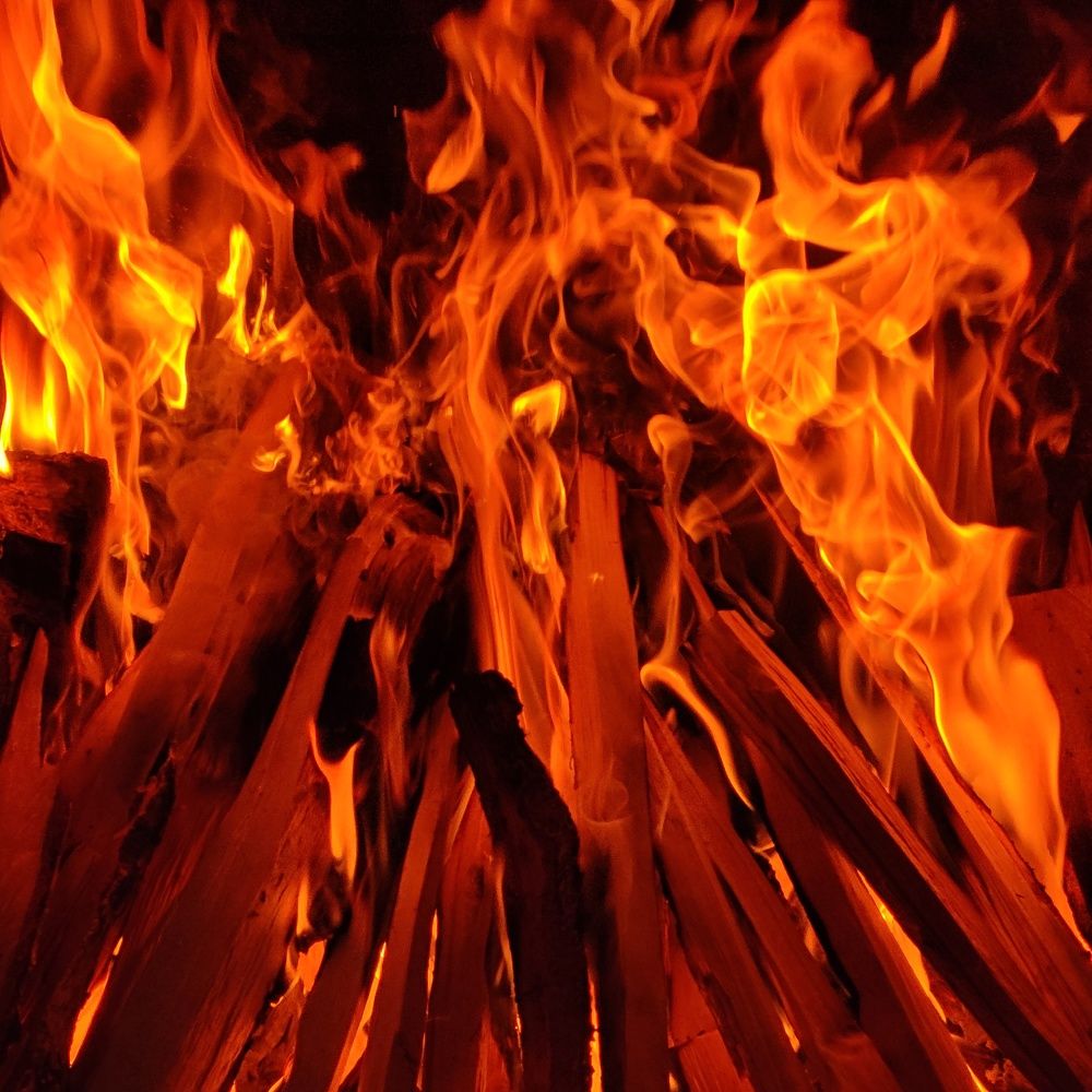 Photo #8479605