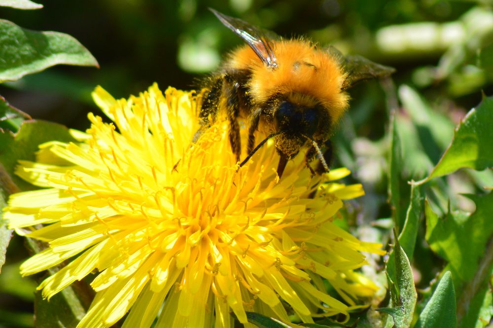 Photograph by Маргарита