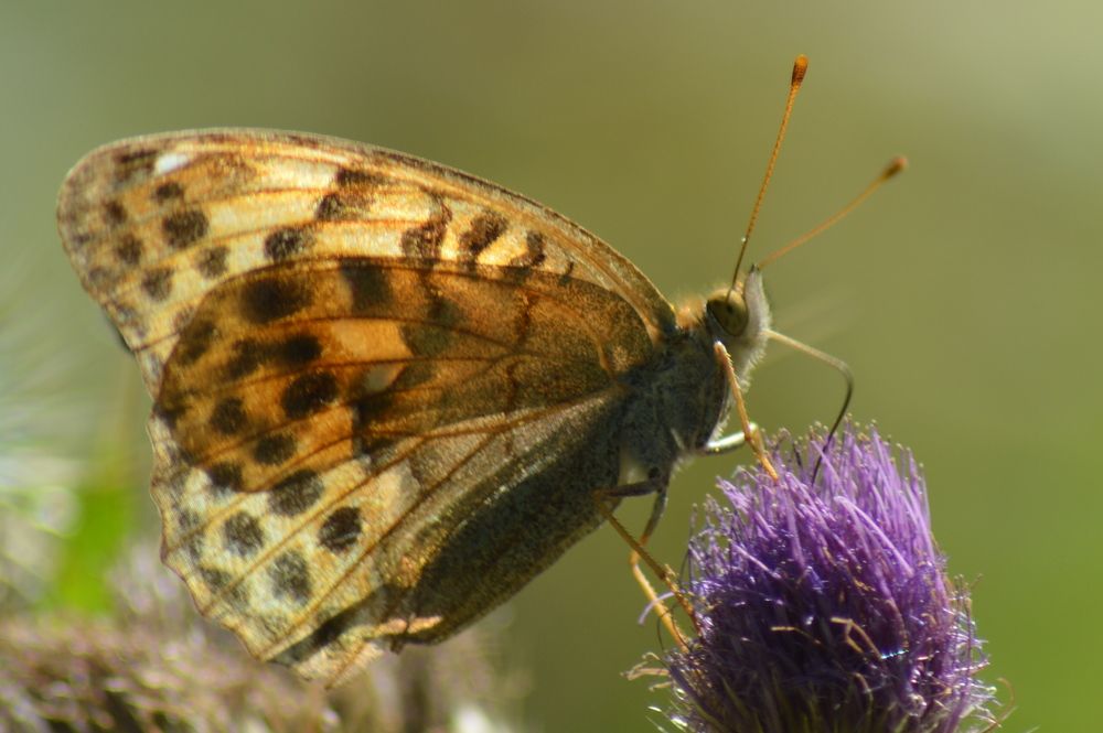 Photograph by Маргарита