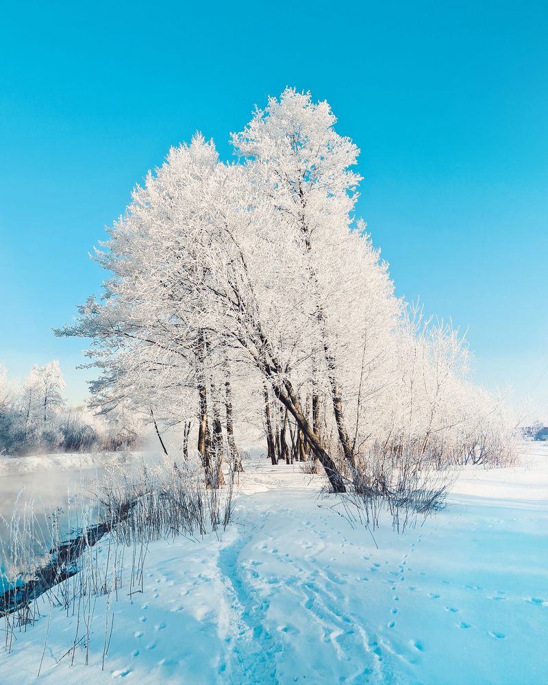 Зимний пейзаж / Winter landscape