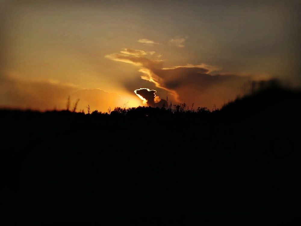 Photograph by Вера Бабайлова