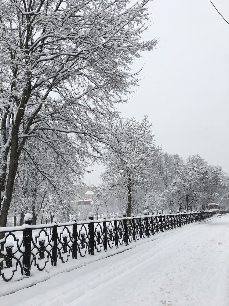 Photograph by Елена Макуха