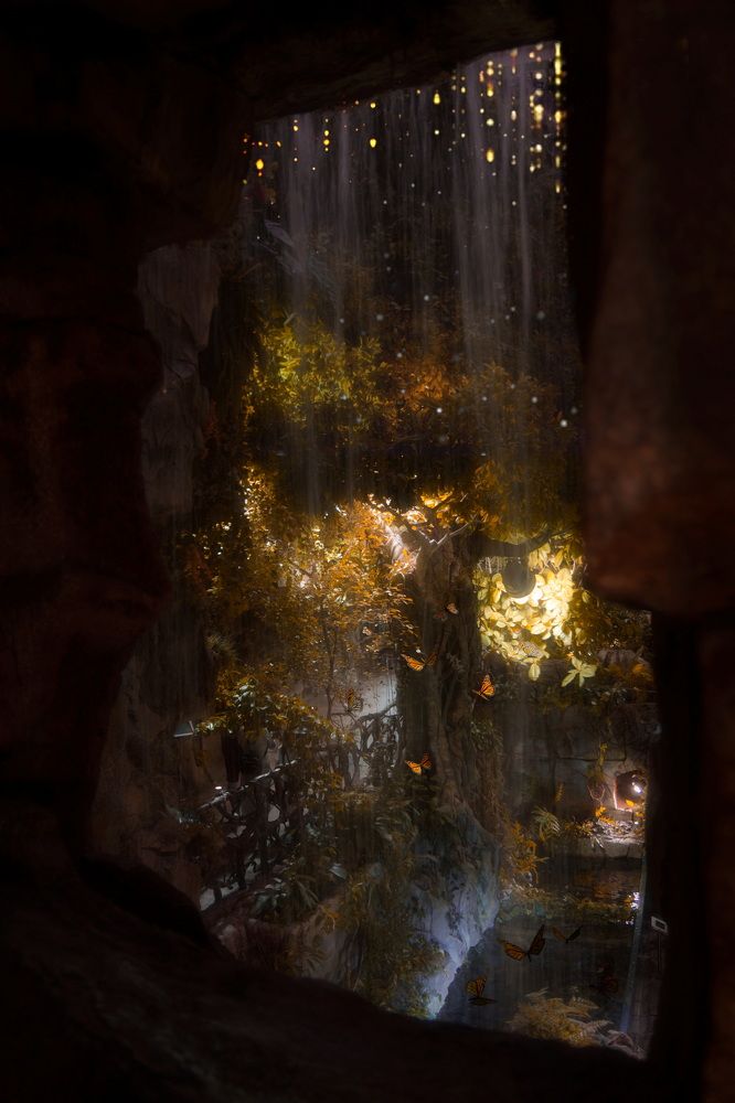 Photograph by Елена Ласун