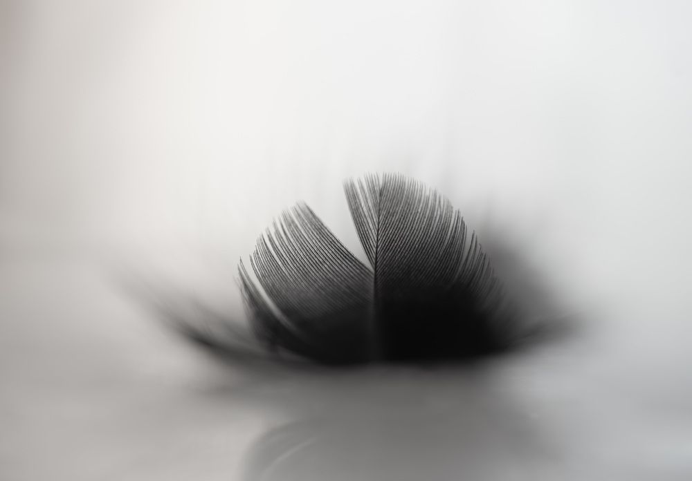 Фотография автора Рохмистрова Мария