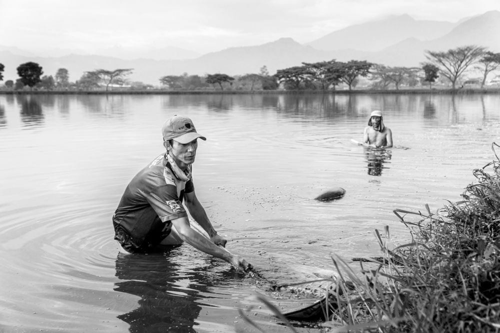 Searching for Water Fleas