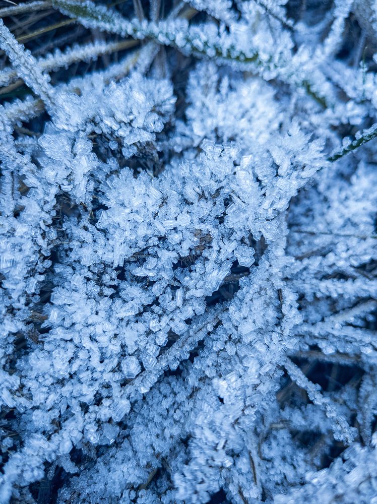 Фотография автора Тамара Нижельская