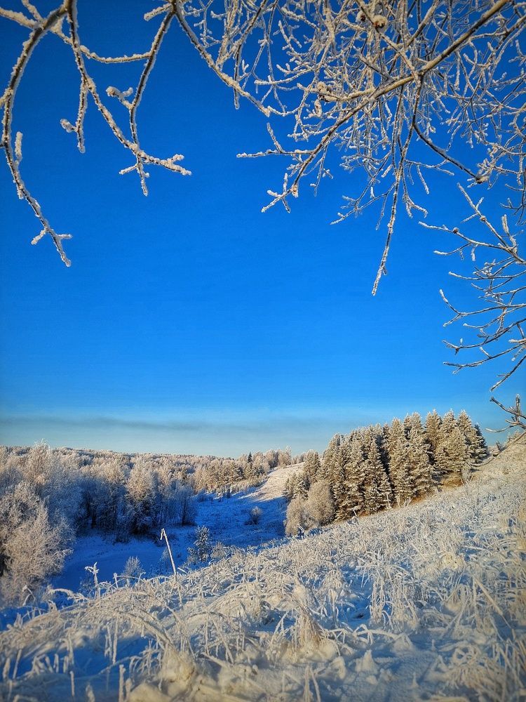 Photograph by Алёна Вороная