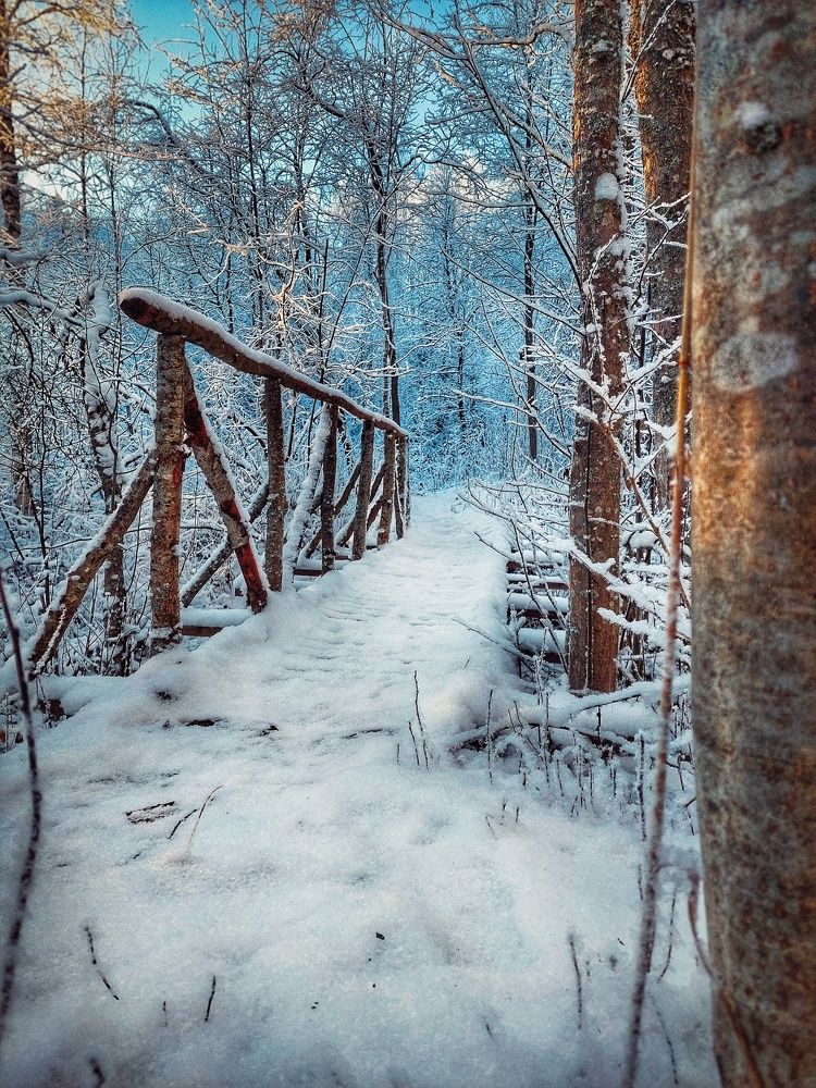 Photograph by Алёна Вороная