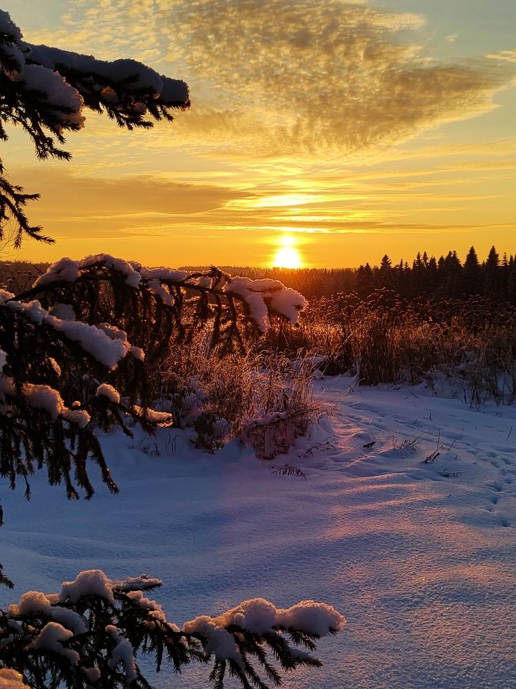 Photograph by Александр Кокурин
