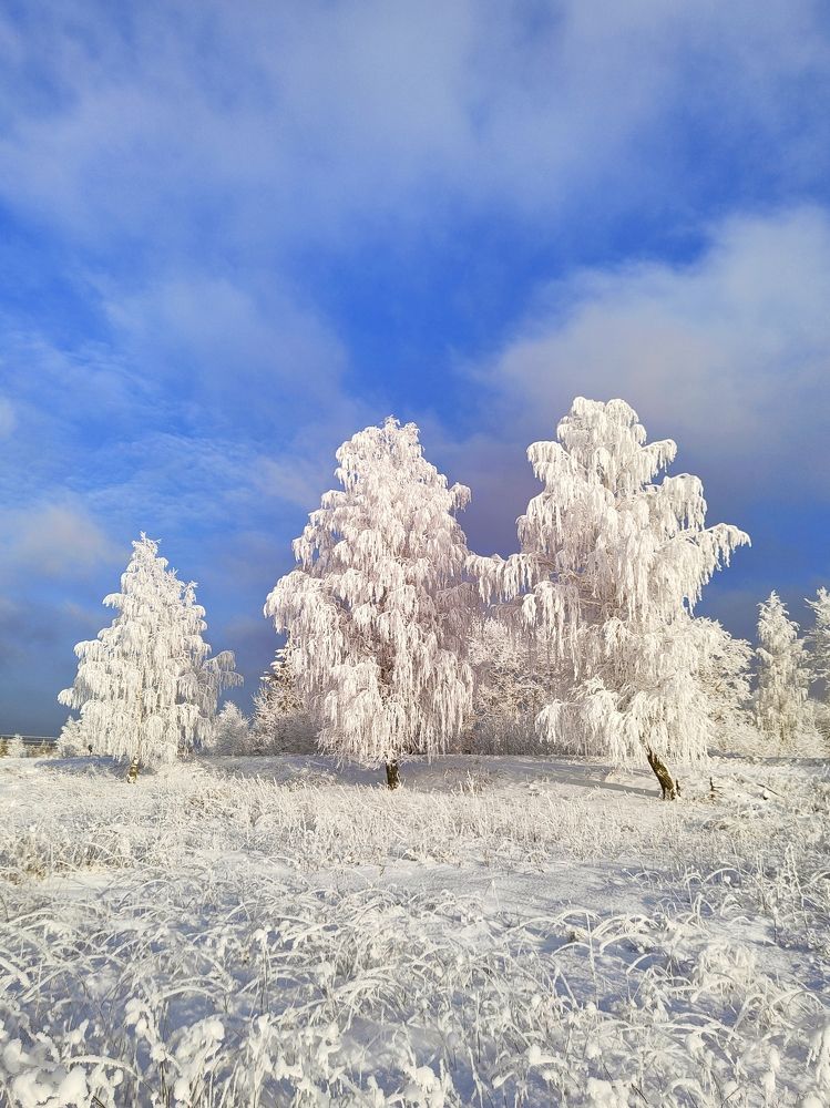 Photograph by Александр Кокурин
