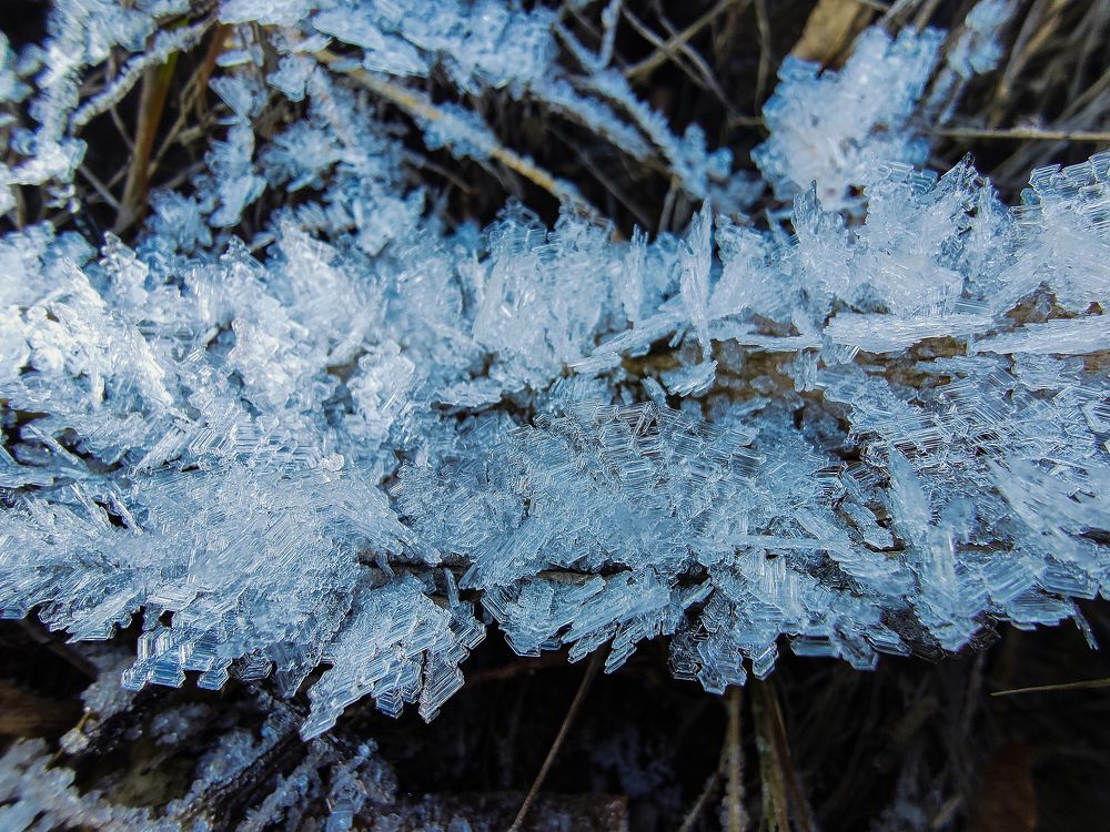 Фотография автора Тамара Нижельская