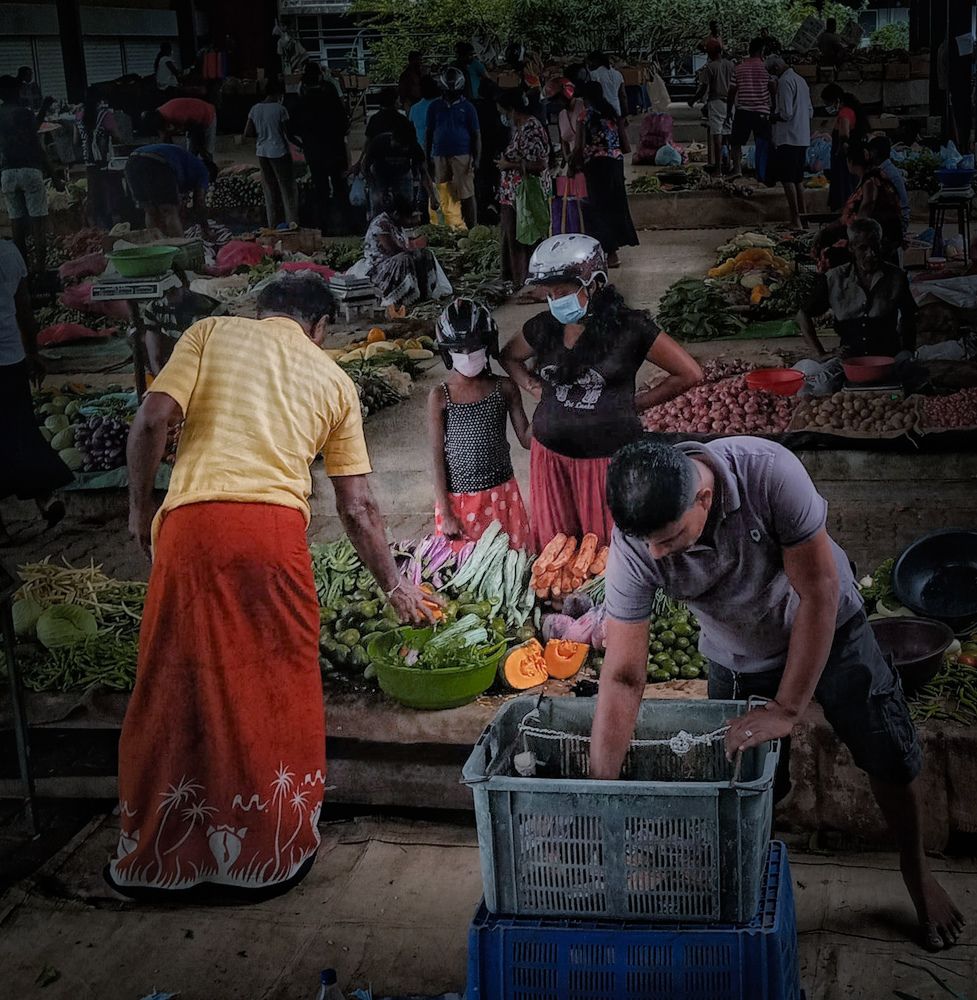 Photograph by Thimira dinisuru