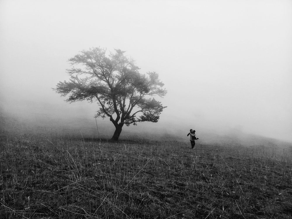 Photograph by Masoumeh Rahimi