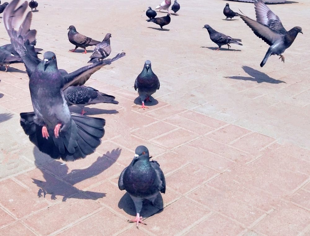 Photograph by Олеся Белова