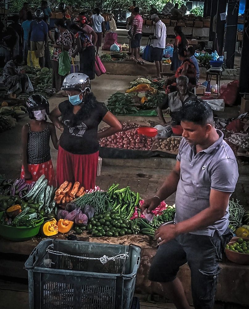 Photograph by Thimira dinisuru