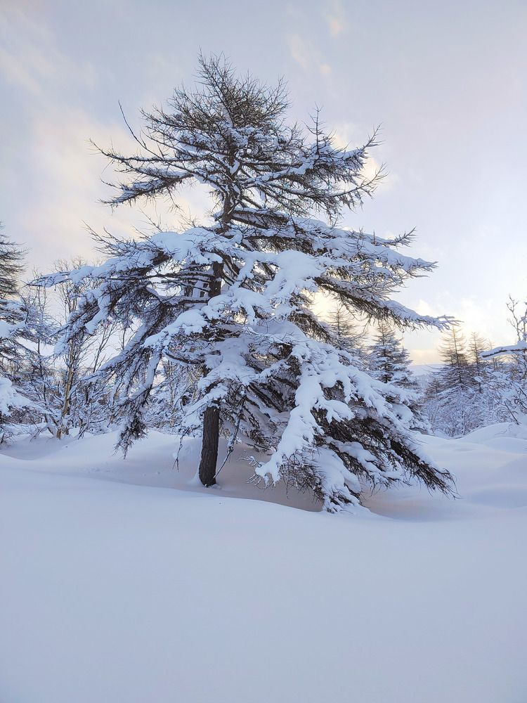 Photograph by Александра Красникова