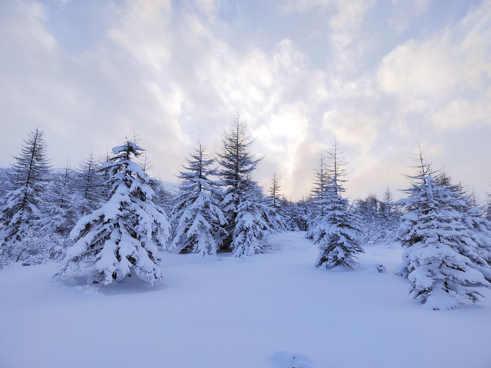 Photograph by Александра Красникова