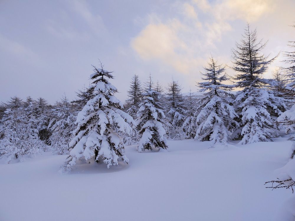 Photograph by Александра Красникова