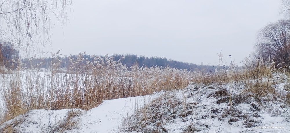 Photo #8479979