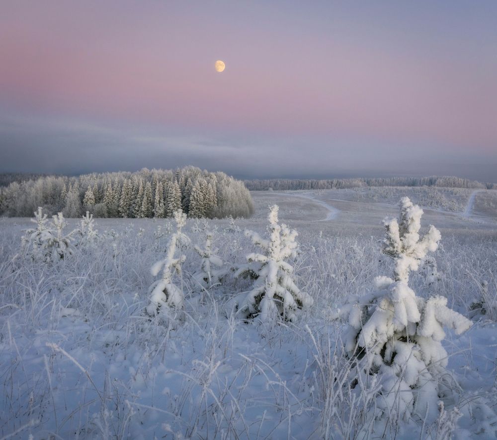 Фотография автора Сергей Буторин
