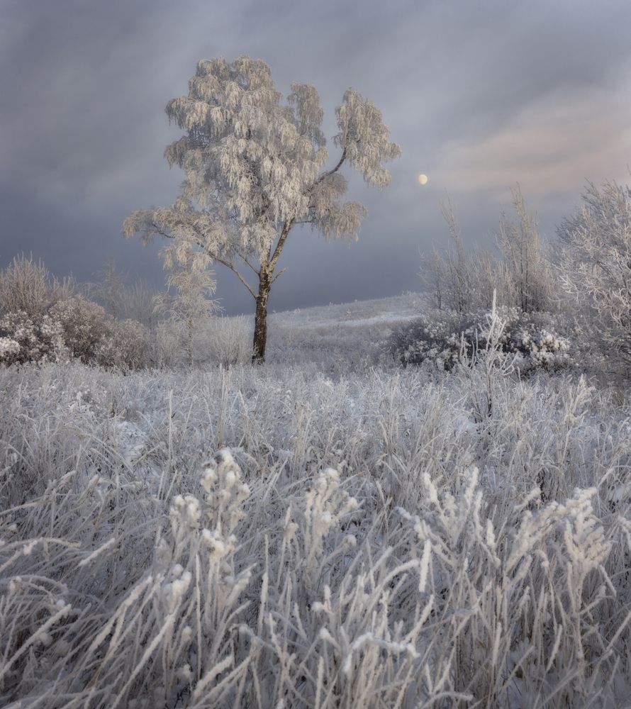 Фотография автора Сергей Буторин