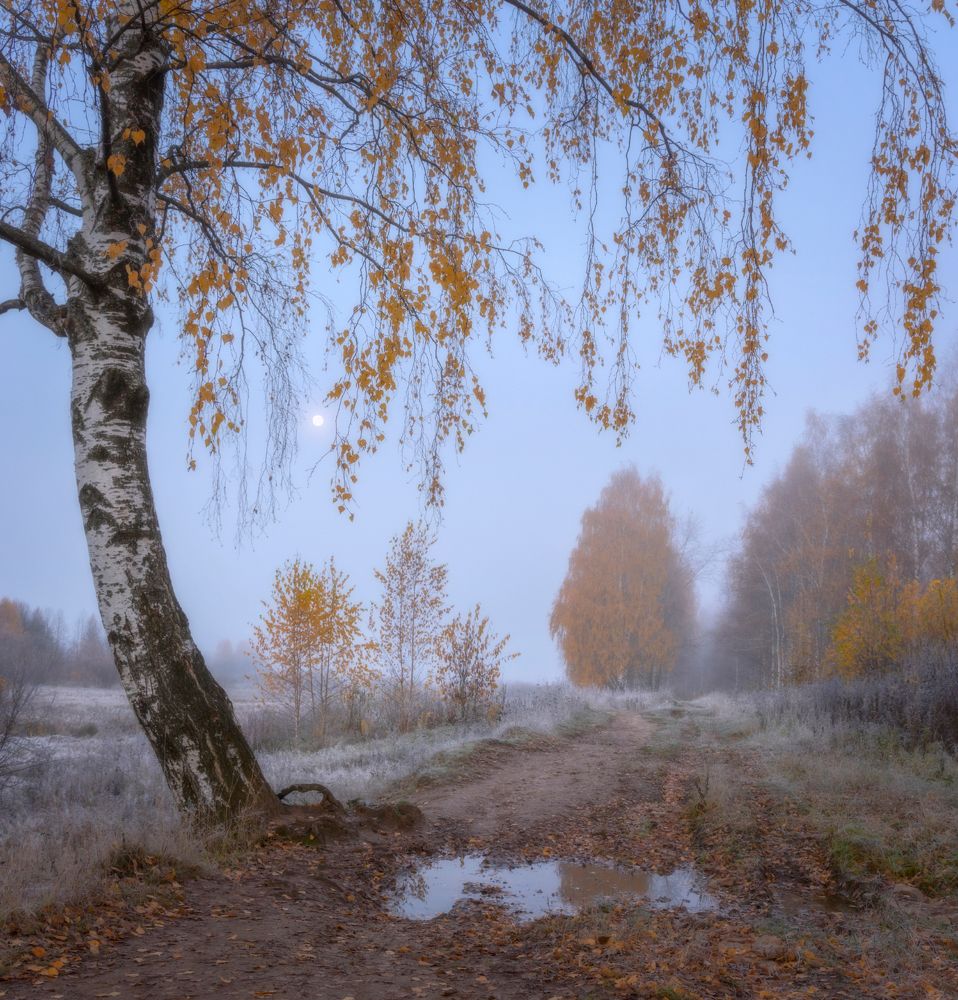 Фотография автора Сергей Буторин